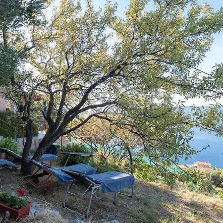 House Panorama Stanici